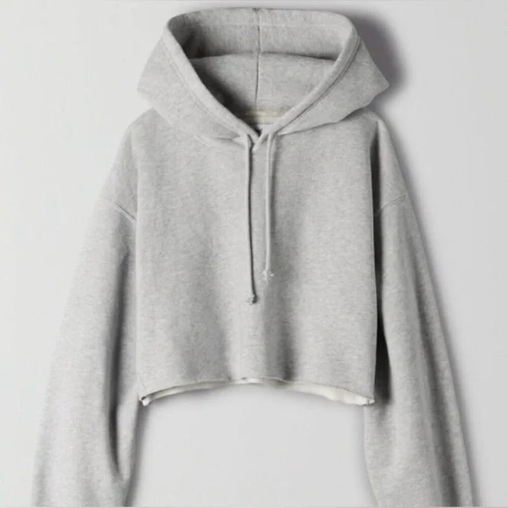 NWT TNA Light Grey Cozy Fleece Boyfriend Cropped Hoodie - Size 1